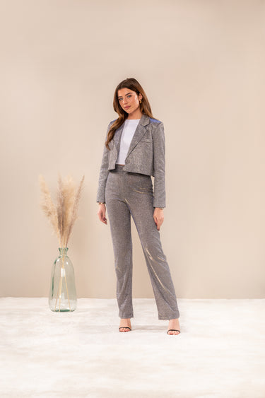 Pantalon Sparkle zilver