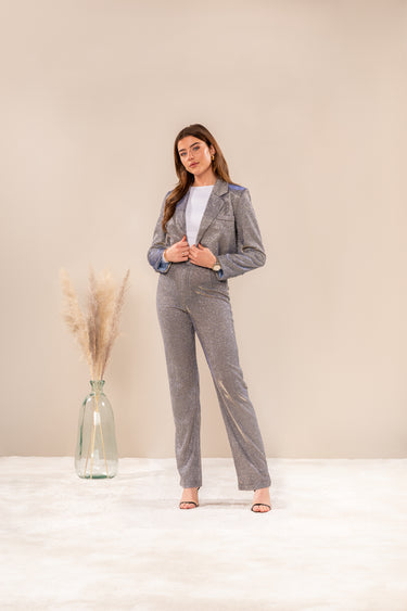 Pantalon Sparkle zilver